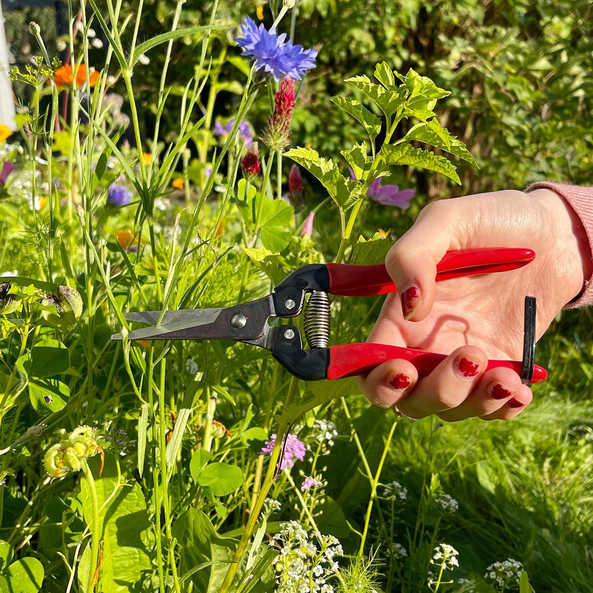 ARS Frukt- og blomstersaks, non-slip, 190mm