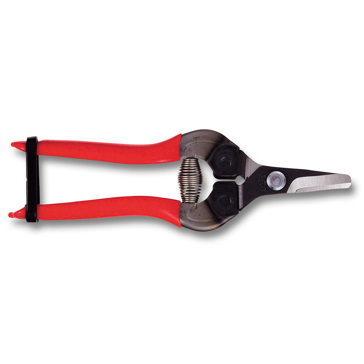 ARS Frukt- og grønnsakssaks, kurvet skjær, non-slip, 160mm