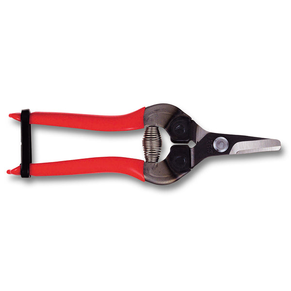 ARS Frukt- og grønnsakssaks, kurvet skjær, non-slip, 160mm